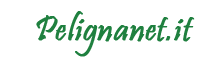 logo pelignanet